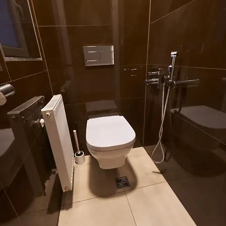 Apartmán českobratrská Teplice